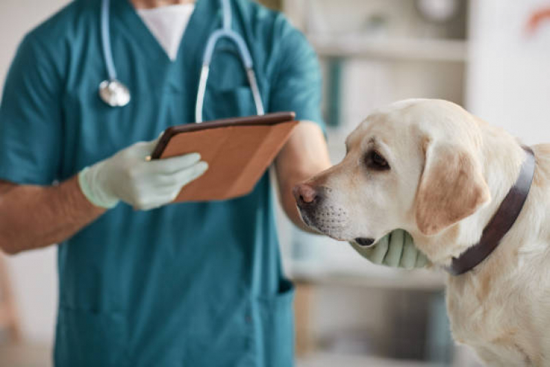 Clínica Veterinária Mais Próxima Contato Recanto das Emas (Recanto das Emas) - Clínica Veterinária para Animais
