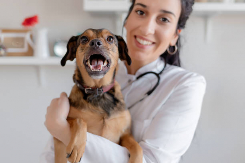 Clínica Veterinária Mais Próxima Setor Oeste Vila E - Guará (Guará) - Clínica Veterinária para Animais