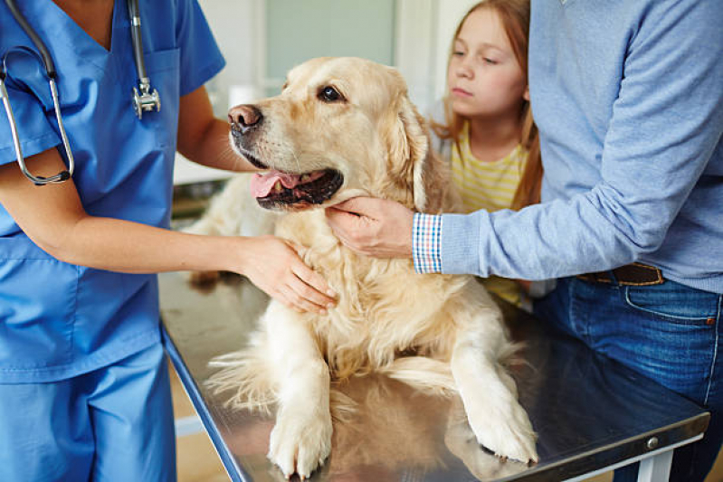 Clínica Veterinária para Animais Contato Sobradinho Ll - Clínica Veterinária 24 Horas Perto de Mim