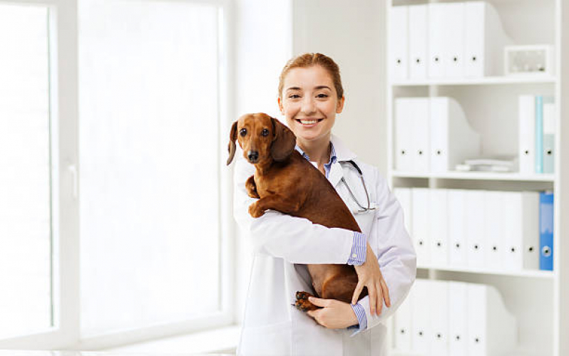 Clínica Veterinária para Animais Condomínio Comunidade E Residencial Sobradinh - Clínica Veterinária Perto de Mim