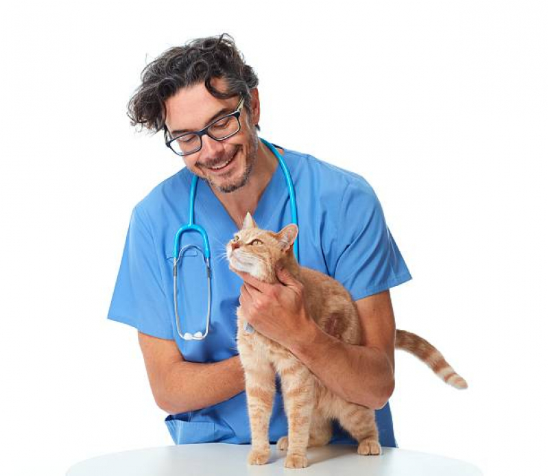 Clínica Veterinária Próximo a Mim Telefone Cidade Nova Gama (Gama) - Clínica Veterinária para Animais