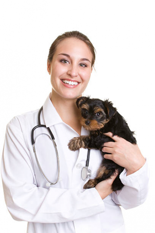 Clínica Veterinária Setor Oeste (Guará) - Clínica Veterinária para Animais