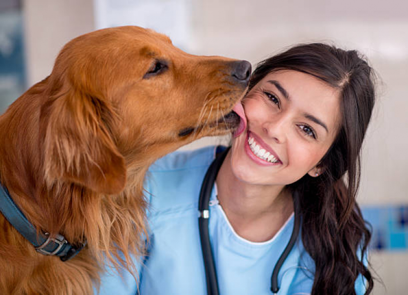 Contato de Clínica Veterinária para Animais Sobradinho - Clínica Veterinária Mais Próximo de Mim