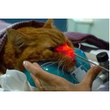 clínica especializada em rinoscopia para gato Setor Sudoeste (Cruzeiro)