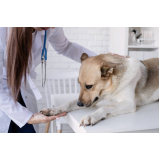 clínica popular veterinária contato Recanto das Emas (Recanto das Emas)