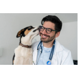 clínica veterinária 24 horas contato Setor Residencial Oeste São S (São Sebastião)