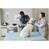 clínica veterinária animal contato Guará