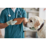 clínica veterinária mais próxima contato Zona Indústria - Guará (Guará)