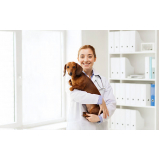 Clínica Veterinária para Animais