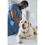 contato de clínica veterinária animal Recanto das Emas (Recanto das Emas)