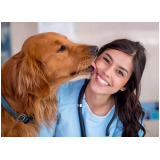 contato de clínica veterinária para animais Sobradinho