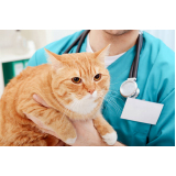 eletrocardiograma cães e gatos preço Condomínio Comunidade E Residencial Sobradinh