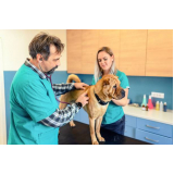 eletrocardiograma para cachorro preço Setor Placa da Mercedes Nucle (Núcleo Bandeir