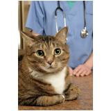 eletrocardiograma para gatos preço Norte Águas Claras (Águas Claras)