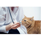 onde faz eletrocardiograma para gatos Setor Hospitalar Planaltina (Planaltina)
